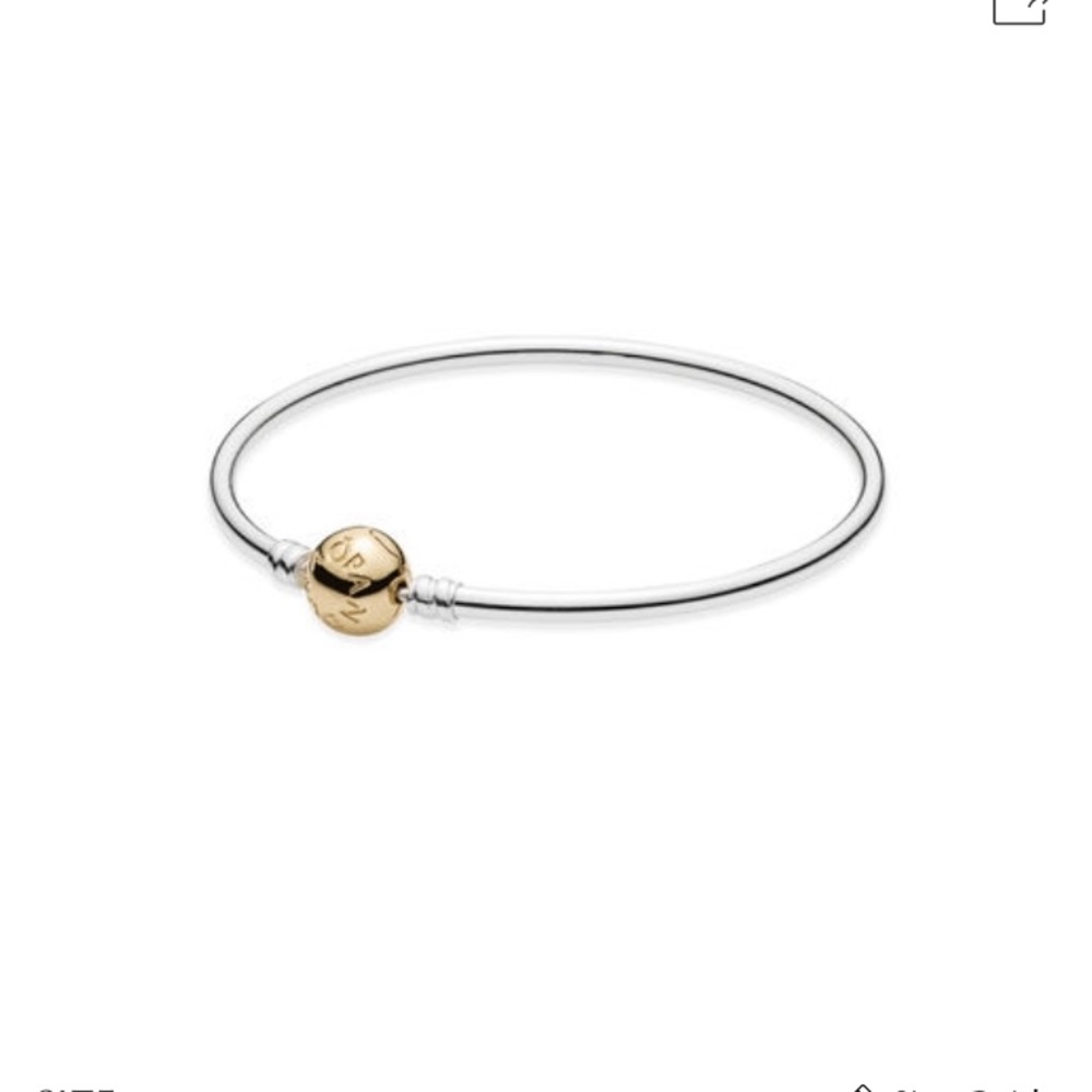 Pandora bracelet / bangle two tones